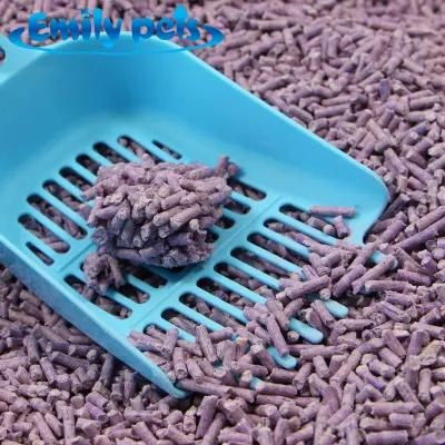 Easy Clean Bentonite Cat Litter