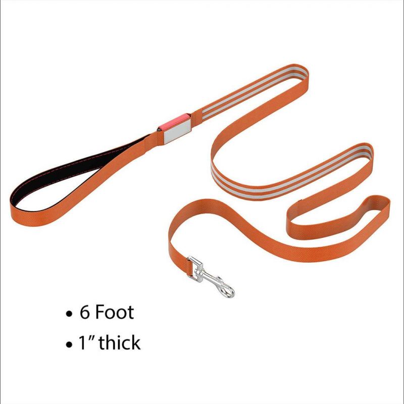 Durable Nylon LED Dog Leash 6 Foot Long Easily Rechargeable with Padded Handle