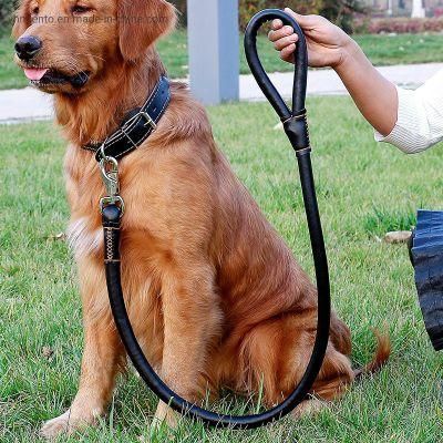 Amazon Wholesale Pet Supply Popular Pet Leash with Leather Dog Collar