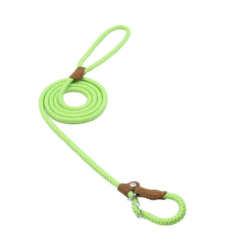 Wholesale Pet Accessories All-in-One Dog Lead