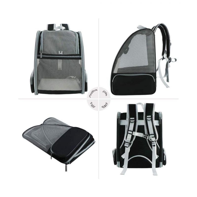 Pet Backpack Carrier Collapsible Buckle Support with Safety Straps for Small Catdog