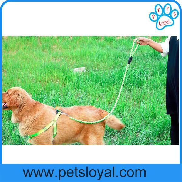 Factory Wholesale Cheap Nylon Colorful Pet Harness Dog Leash