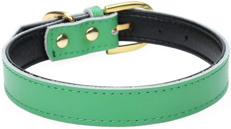 Amazon Hot Sell Basic Classic Padded Leather Pet Collars
