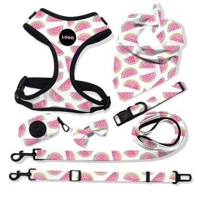 Dog Harness Leash to a Brit Crossword Clue