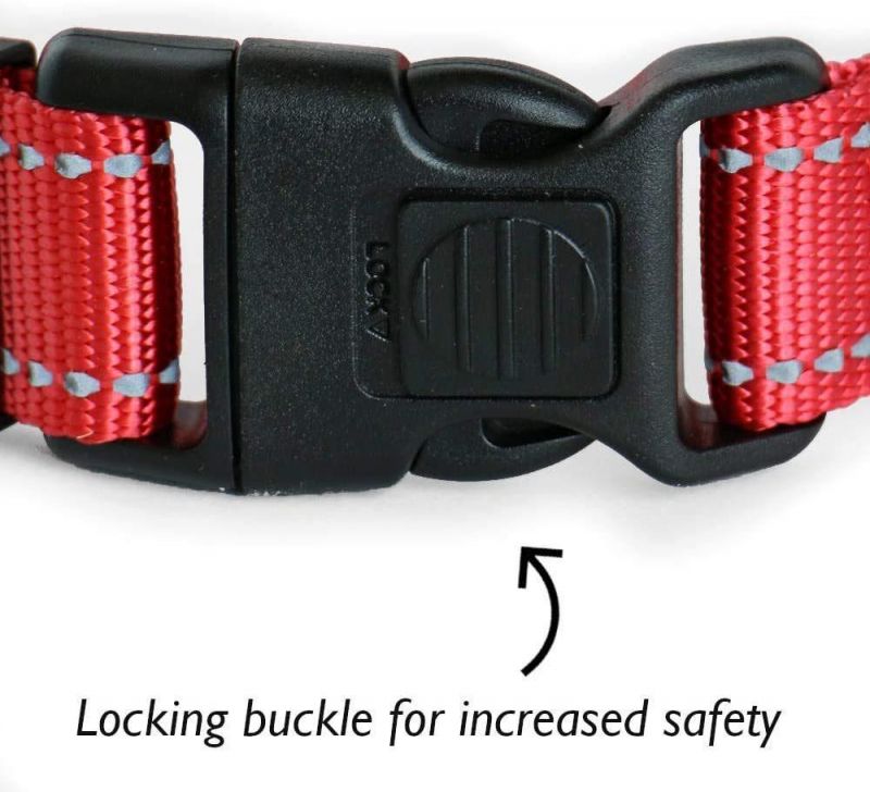 Highly Reflective Classic Dog Collar with Multiple Colors