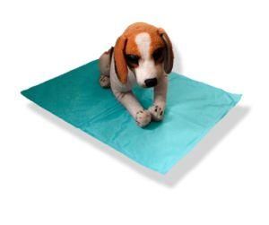 40*50 Summer Use Pet Ice Pad