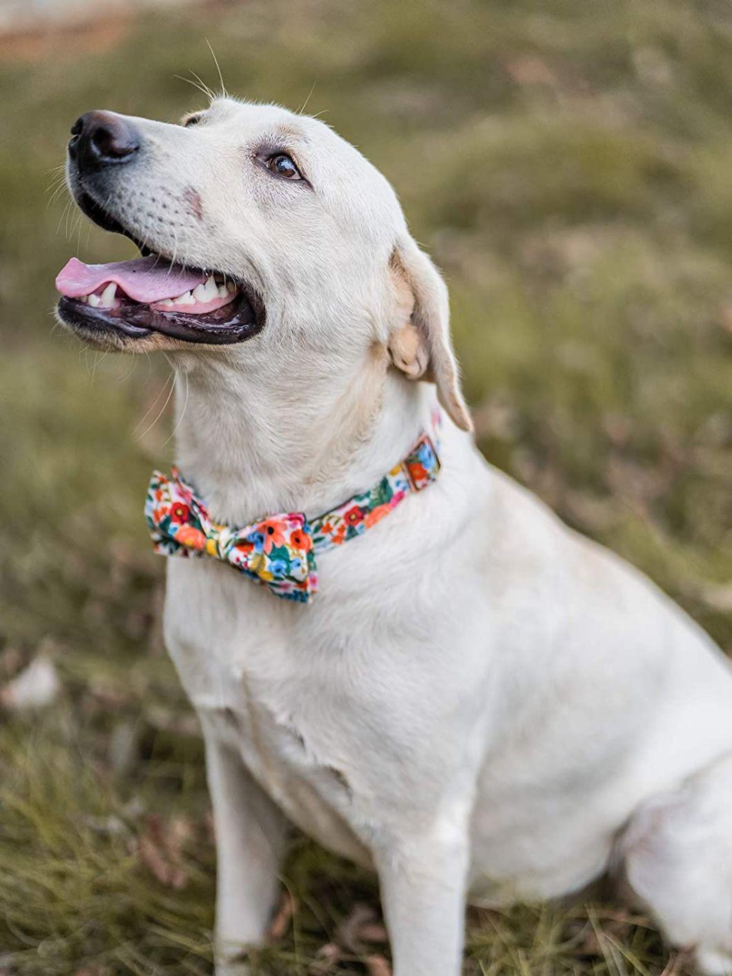 Adjustable Pattern Dog Collars for Small Medium Large Dogs and Cats