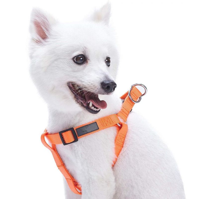 Safety Nylon Easy Walk Pet Dog Lift Chest Harness with Nice Buckle