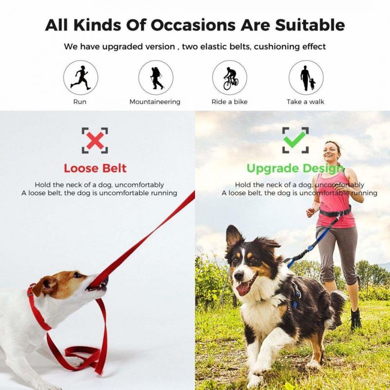Dog Leash, 4/6 Foot Long Hands Free Leashes Dual Handle Control Leash Dog Adjustable Waist Belt Reflective Pet Leash Running, Walking, Jogging