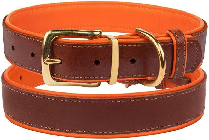 High Quality Leather Dog Collar with Neoprene Padding