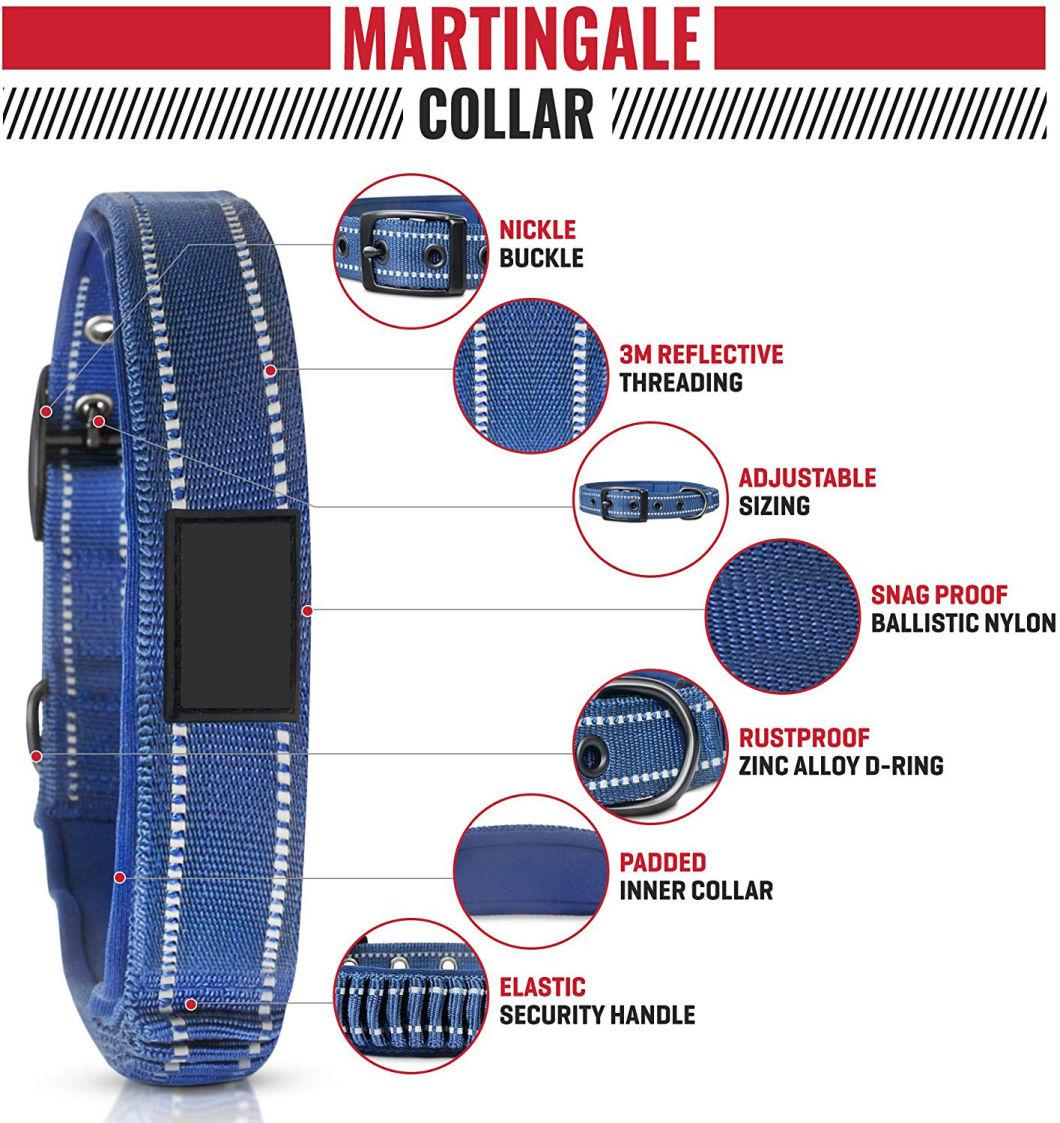 Tough Comfort & Safety Dog Collar with Stretch Bungee Handle