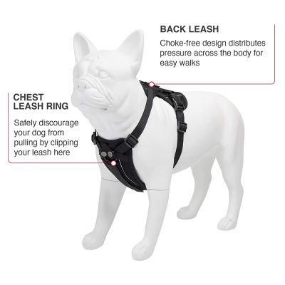 Freestyle 4-in-1 Dog Harness Adjustable Webbing Harness with Removable Padding for Small to Large Dogs