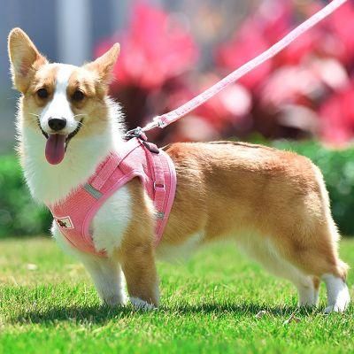 Pet Accessories for Australia Market Cat Harness for Pullingjwalker Dog Harnesstrixie H Dog Harness