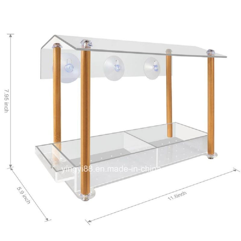 Hot Sale Transparent Acrylic Window Bird Feeder with Cheap Price