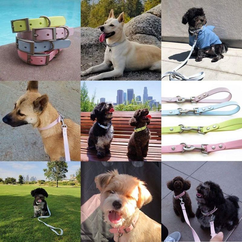 Soft and Comfortable to Hold Waterproof Dog Collar