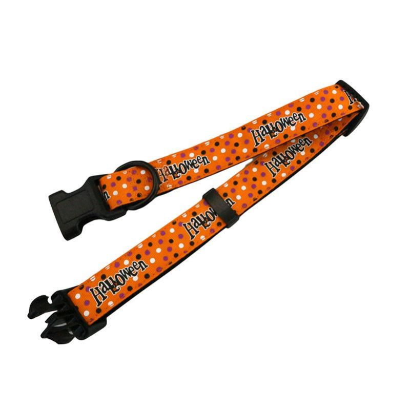 Hot Sale Factory Price Best Quality Plain Nylon Dog Collars