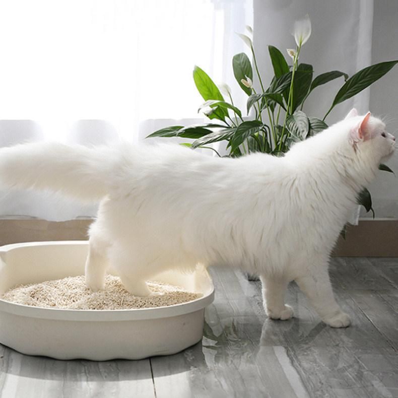 Newest Hot Pet Cat Litter Manufacturer Factory Quick Clumping Cheap Price Kitty Strip Tofu Cat Litter