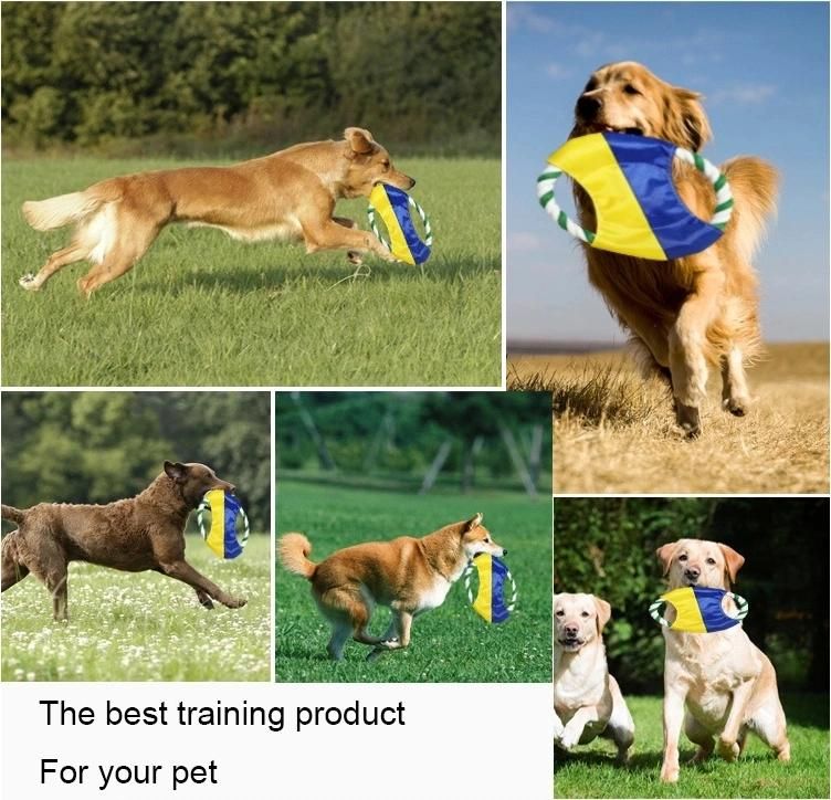 Hot Selling Flying Disc Outdoor Training Toy for Pet