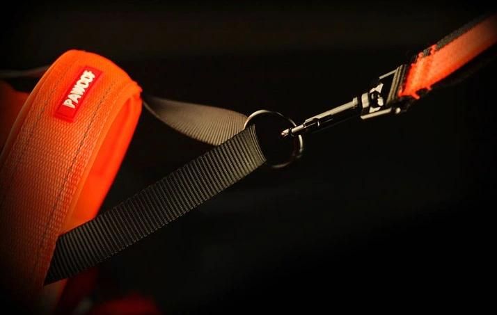 2021 Popular Nylon Reflective Dog Harness Pet Belt for Outdoor
