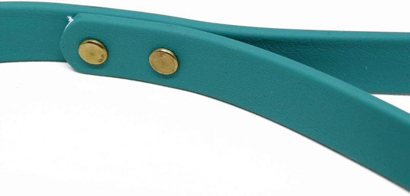 Dog Training Leash Waterproof Dog Leash for for Small, Medium & Large Dogs or Puppies