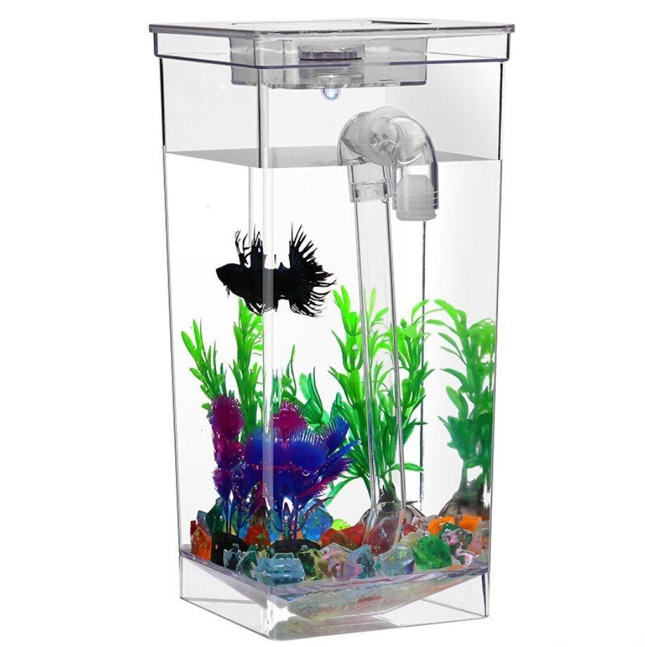 Customized Acrylic Fish Tank External Filter Can Be Placed on The Desktop