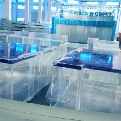 2019 Irregular Acrylic Fish Tank Project