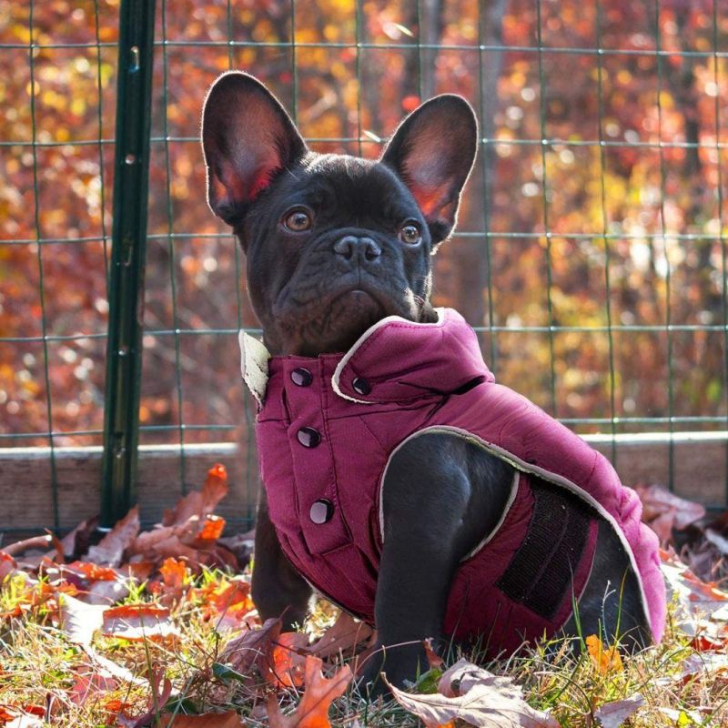 Reflective Windproof Snowproof Winter Padded Vest Dog Clothes