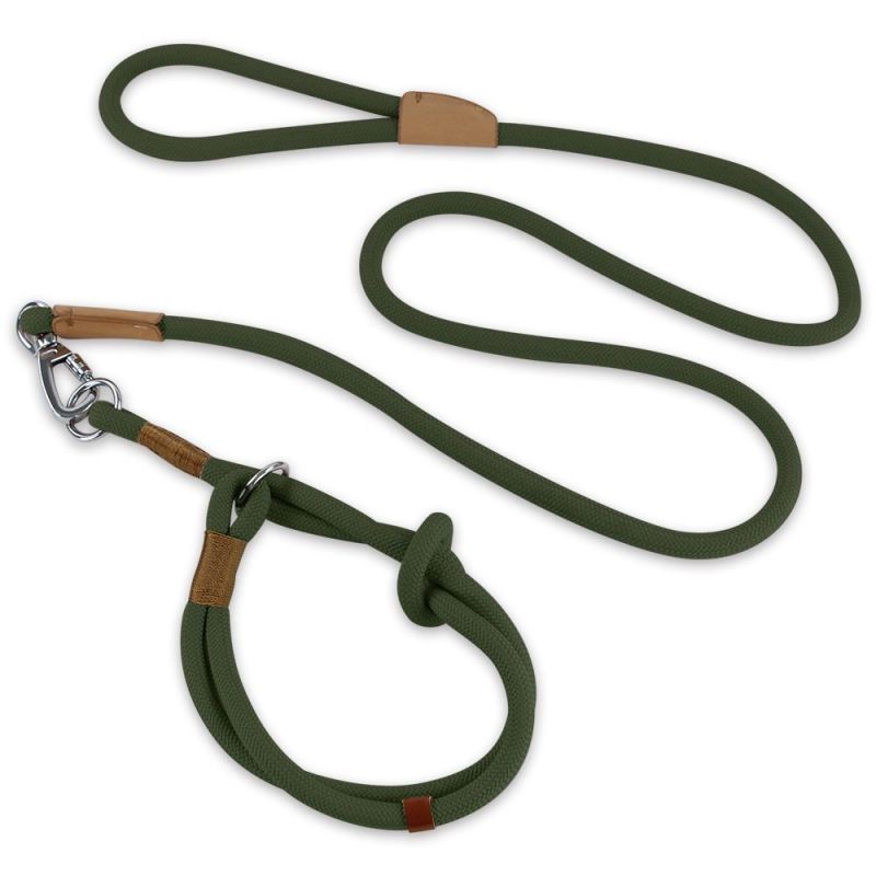 Slip Lead Dog Leash Collar Adjustable Loop Reflective Mountain Climbing Rope Leash Collar for Small Medium Dogs Training
