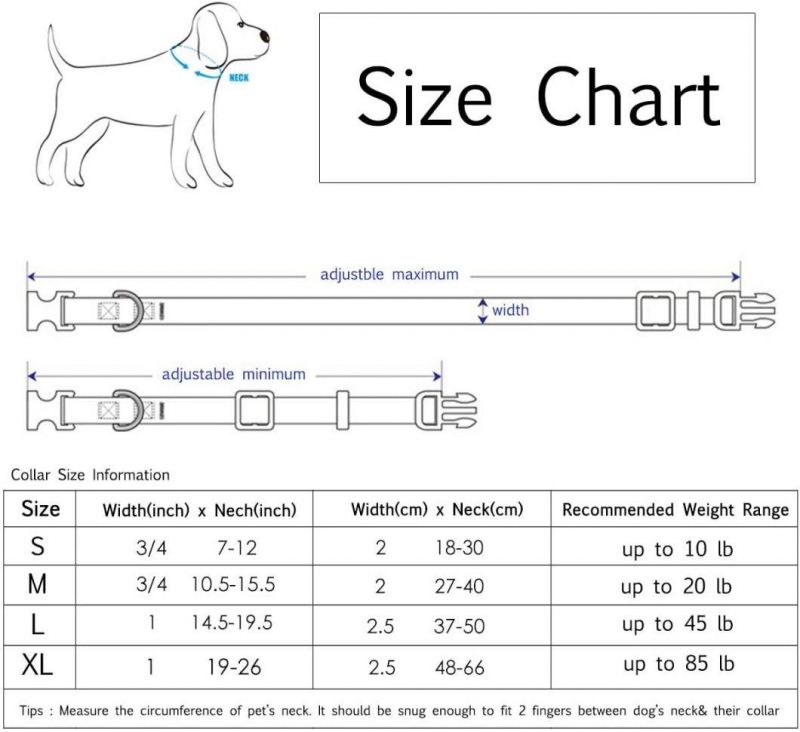 Puppy Wizard School Printing Adjustable Collars with Funny Leash for Pets Dogs Cats Small Medium Large Pet
