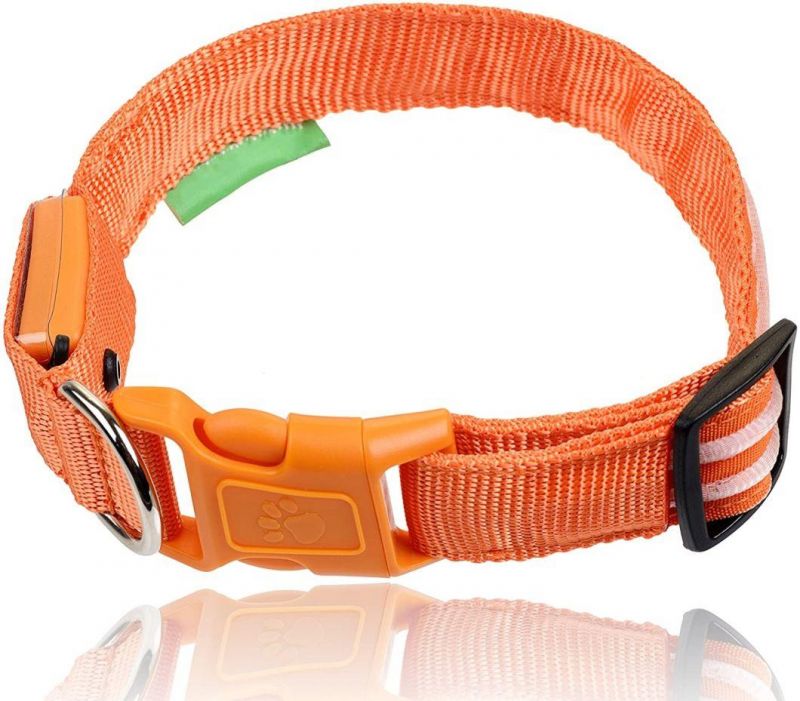 Dog Visible, Safe & Seen LED Dog Collar