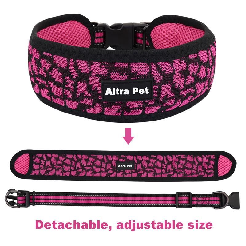 Pet Supplies Mesh Padded Wide Luxury Cute Dog Collar with Leashes, Customized Nylon Braided Rope Dog Pet Leash