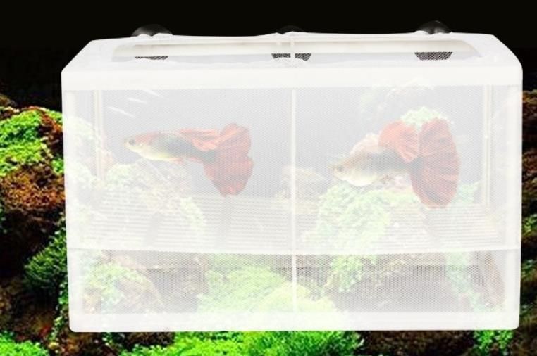 Isolation Cage in Small Size for Fish and Shrimp