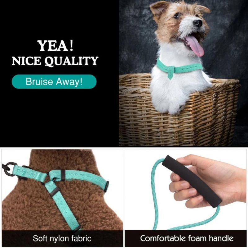 Safe and Comfortable Basic Classic Dog Harness