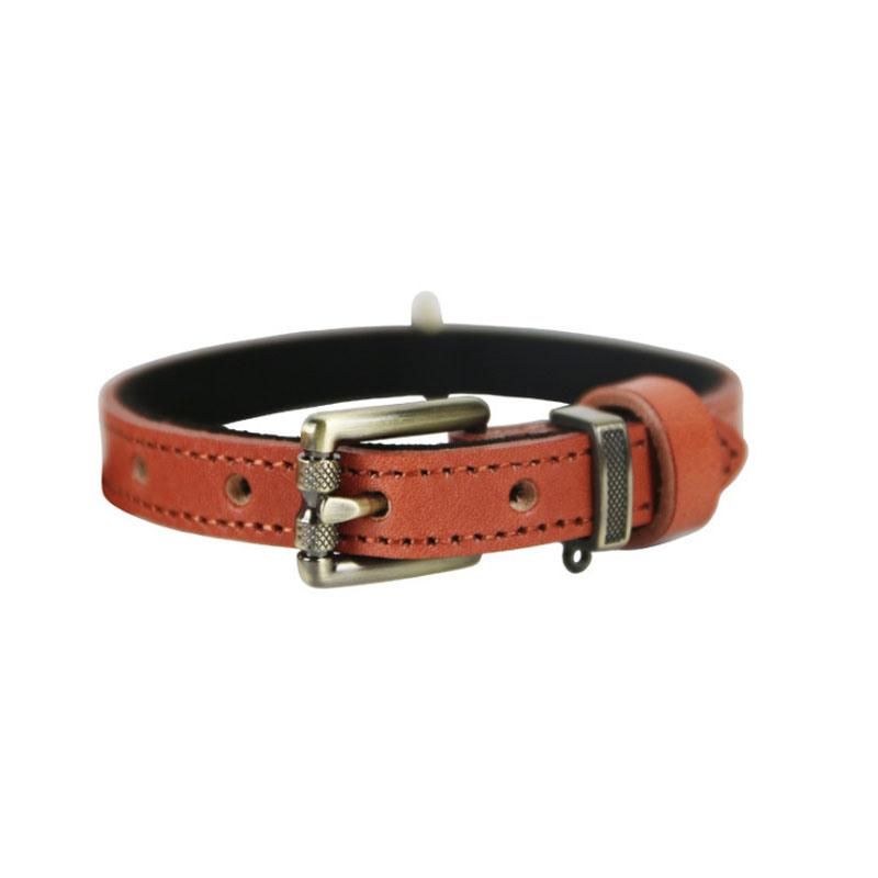 Fast Delivery of Genuine Dog Collar with Multiple Colors Option