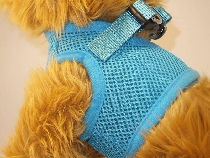Pet Soft Mesh Comfy Step in Dog Vest Harness for Teacups, Toys, Minis, Puppies