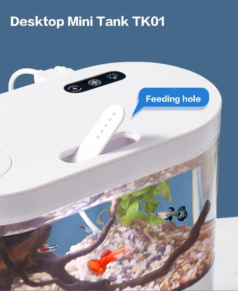 1-Gallon Mini Desktop Aquarium Kit Safe Acrylic White