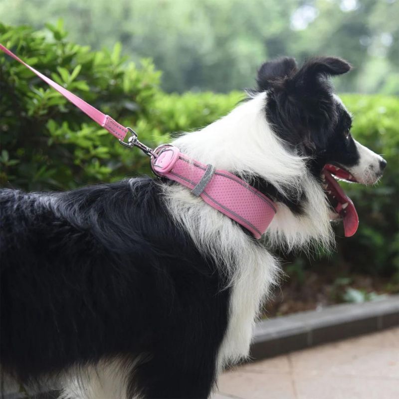 Dog Collar Breathable Mesh Pet Collar with Adjustable Buckle