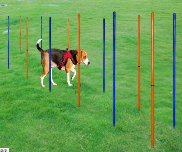 Pet Dog Agility Slalom 12pole & 6pole