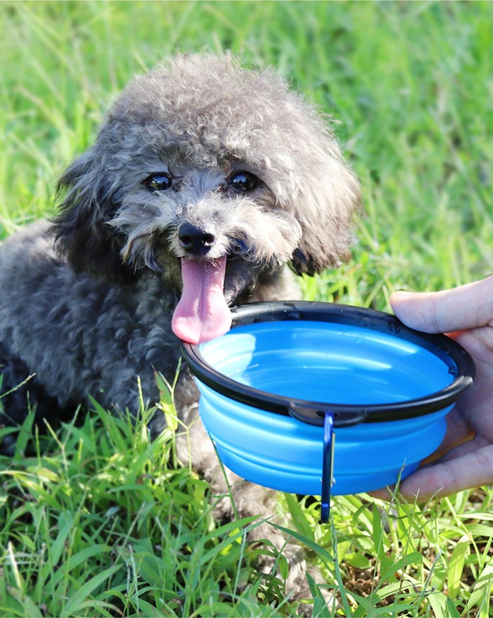 Pet Travel Bowl Portable Foldable Food Water Feeding Travel Outdoor Bowl