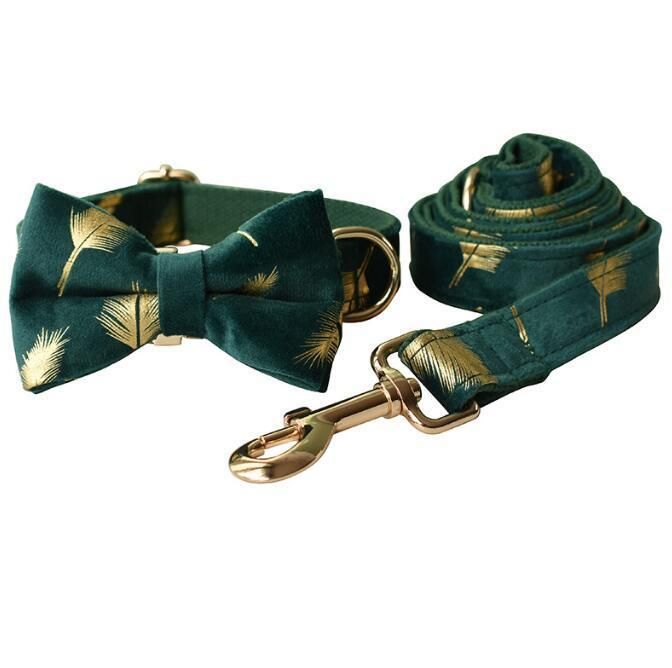 Comfortable and Easy to Clean Luxury Dog Collar