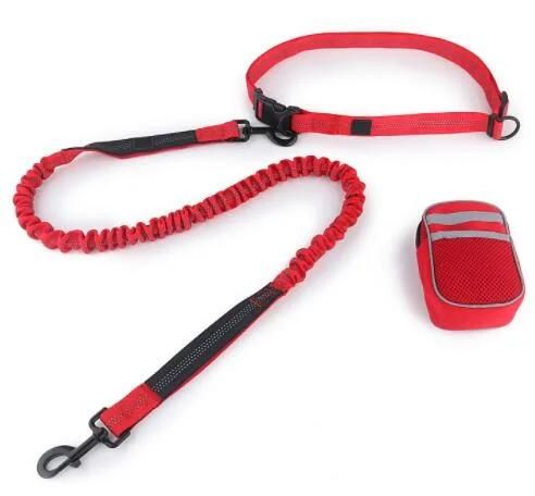 Hands Free Running Bungee Pet Leash with Pouch