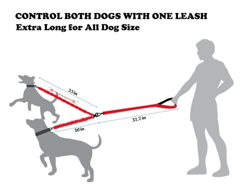 Red Color Double Dog Walking & Training Leash with Comfortable Shock Absorbing Reflective Bungee Two Dogs Waste Bag Dispenser Dog Train