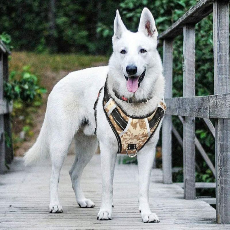 Easy to Wear & Locking Security Dog Harness