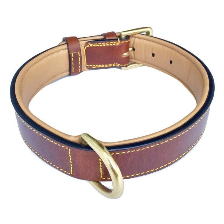 Golden Buckle Padded Genuine Real Leather Dog Collar