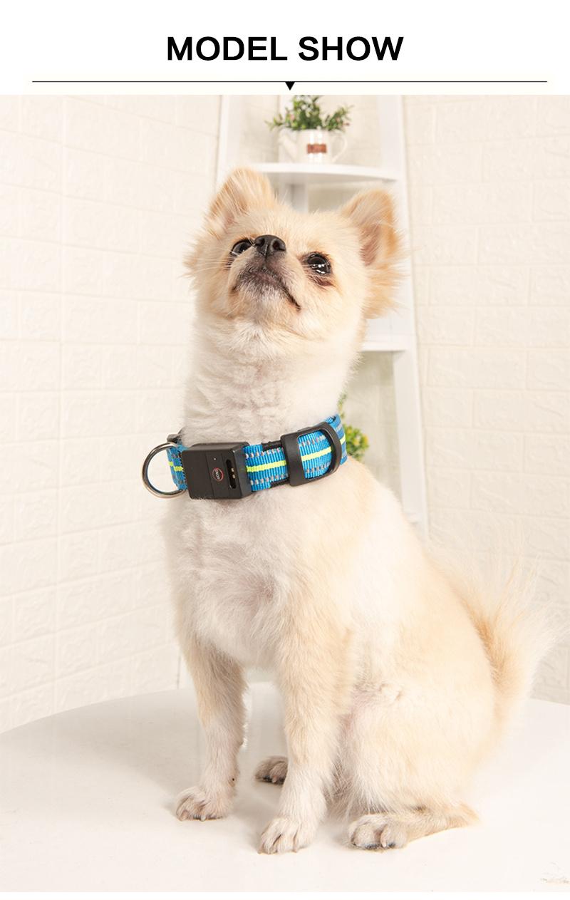 Waterproof Nylon Pet Dog Collar LED USB Rechargeable Reflective Collars