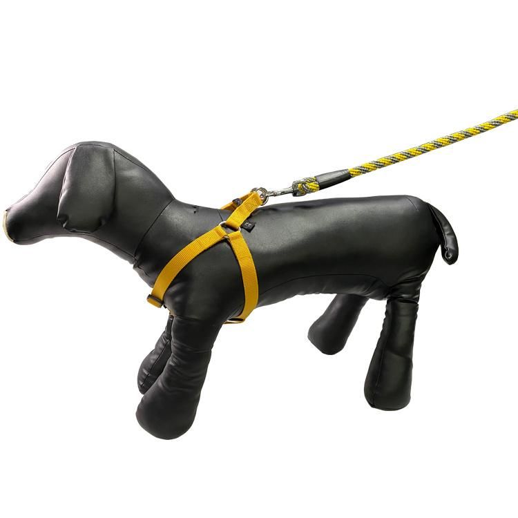 Newest Retractable Custom Polyester Braid Designer Rope Metal Clips Pet Dog Leash