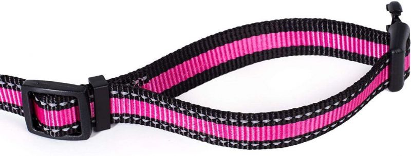 Reflective 3m Stripe Dog Collar with Nylon Band Dog Collar
