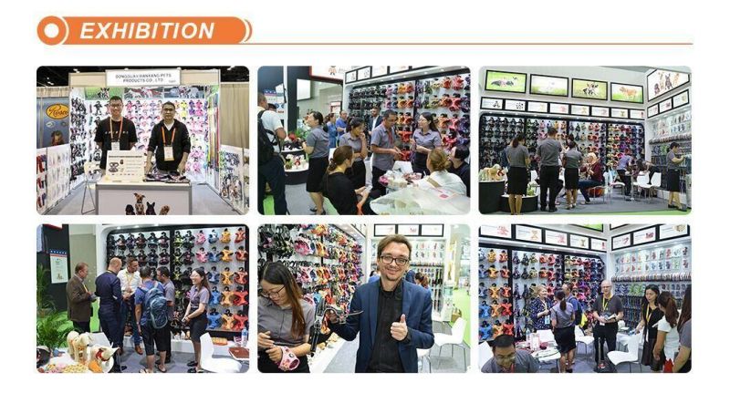 Custom Made Products Customized Guangdong Dog Personal Logo Pet Harness