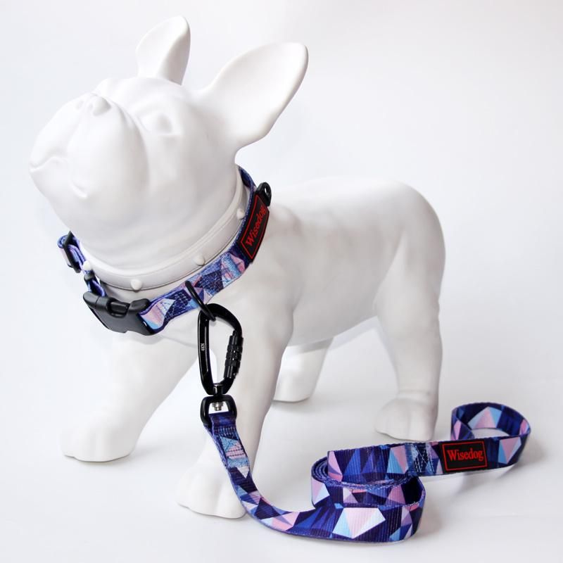 Custom Logo Printed Nylon Pet Dog Collar and Leash Set