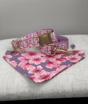 Cosy Safety Wholesale Personalized Nice Gift Pet Collars Leash Set with Cute Bowknot